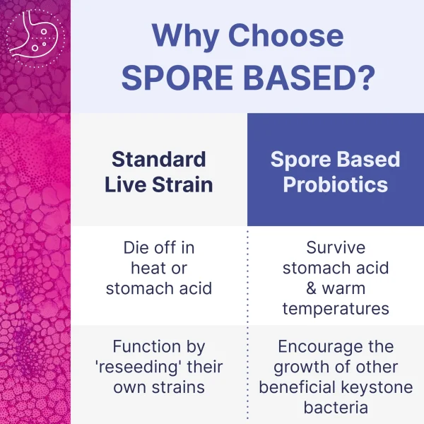 MegaSporeBiotic Probiotics for Gut Health - Image 5